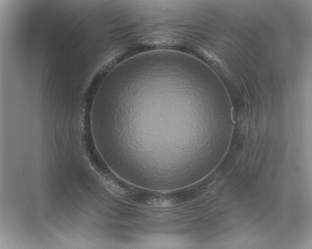 X0000071900735200607212016