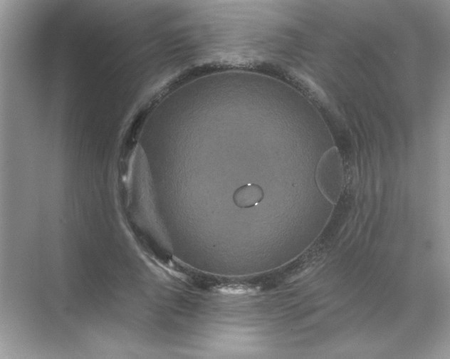 X0000071900736200607212016