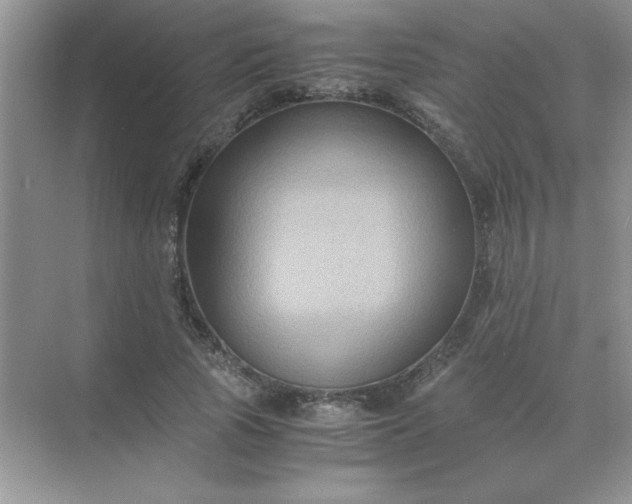 X0000071900737200607212016