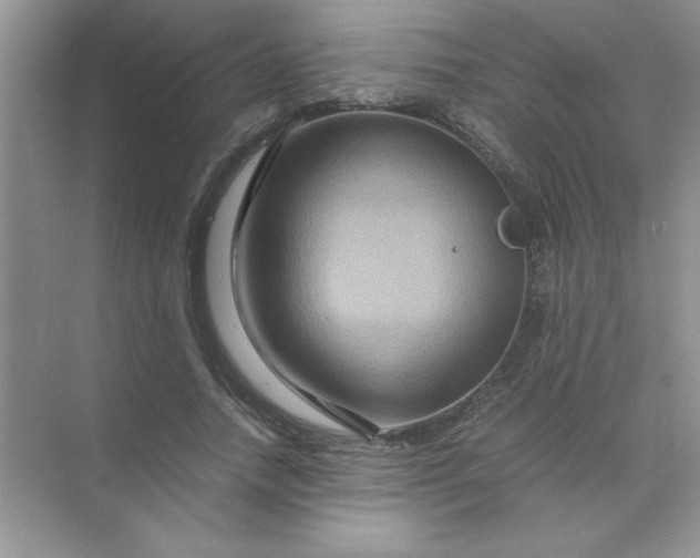 X0000071900738200607212016