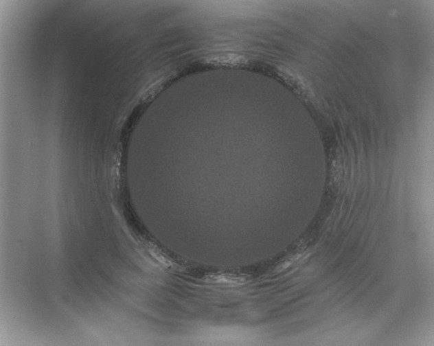 X0000071900739200607212016