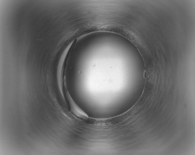 X0000071900740200607212016