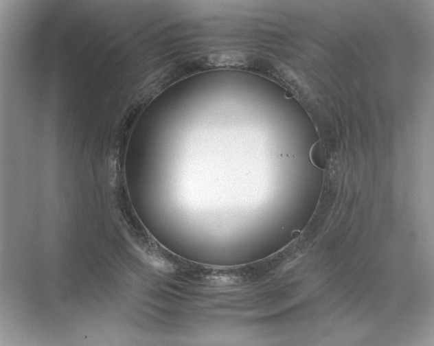 X0000071900741200607212016