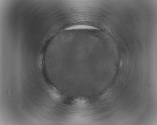 X0000071900742200607212016