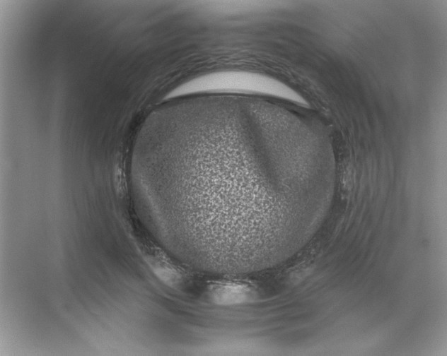 X0000071900743200607212016