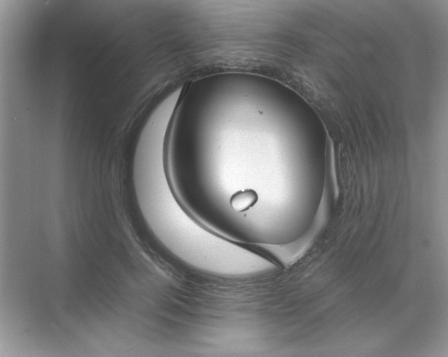 X0000071900744200607212016