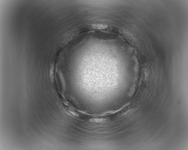 X0000071900745200607212016