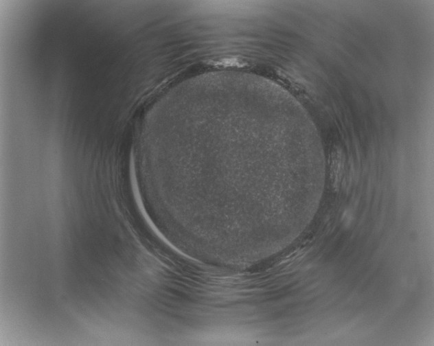 X0000071900747200607212016