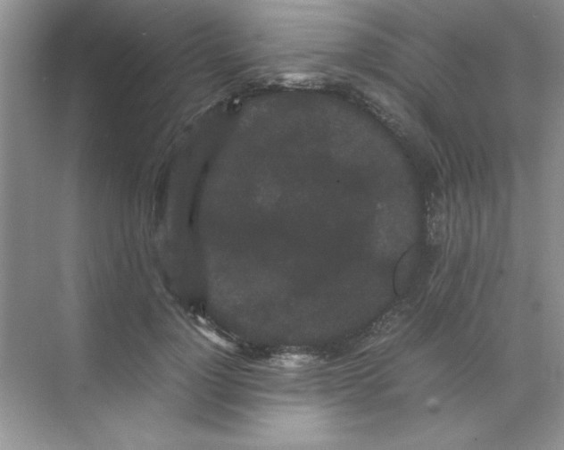 X0000071900748200607212016