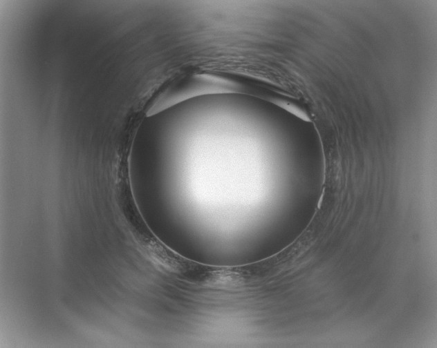 X0000071900750200607212016