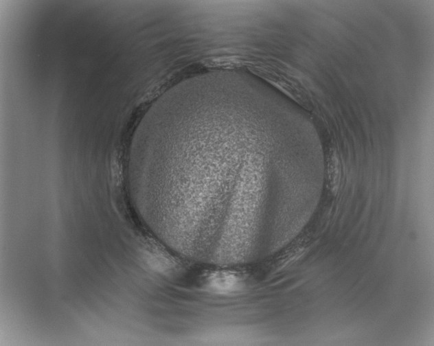 X0000071900751200607212016