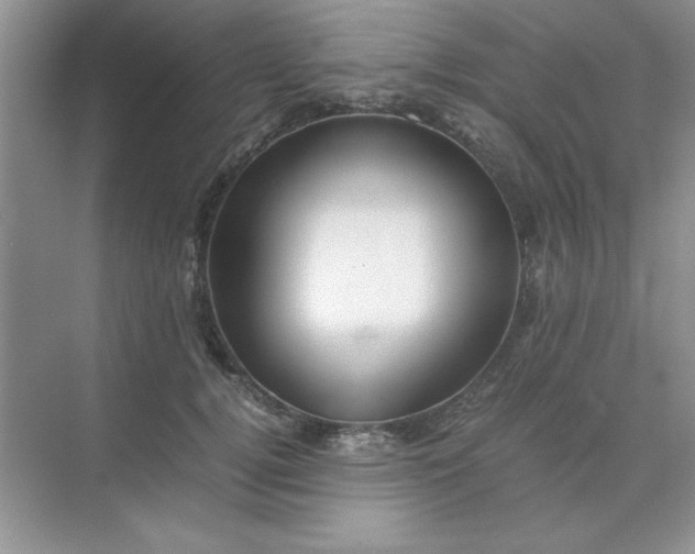 X0000071900752200607212016