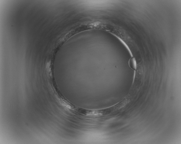 X0000071900754200607212016