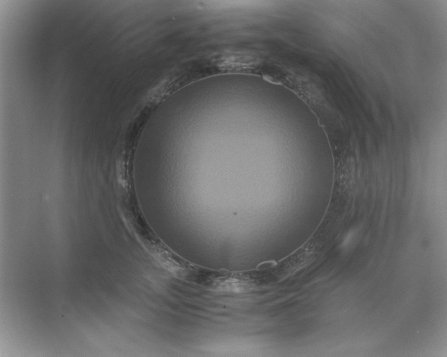 X0000071900755200607212016