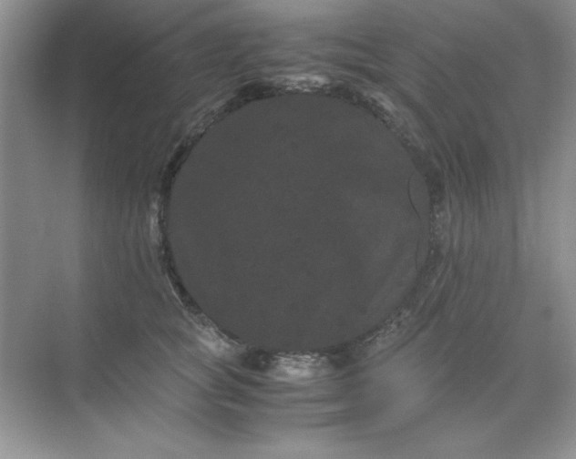 X0000071900757200607212016