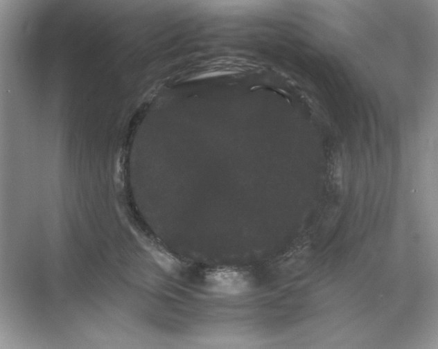 X0000071900759200607212016