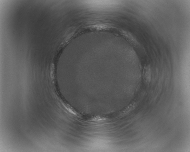 X0000071900760200607212016