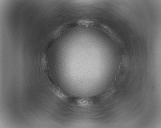 X0000071900761200607212016