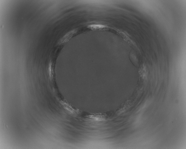 X0000071900763200607212016