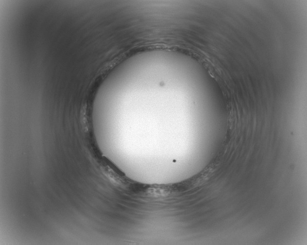 X0000071900764200607212016