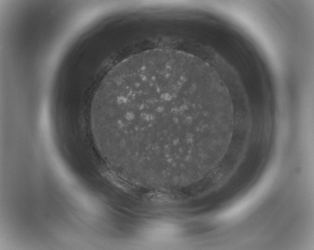 X0000071900765200607212016