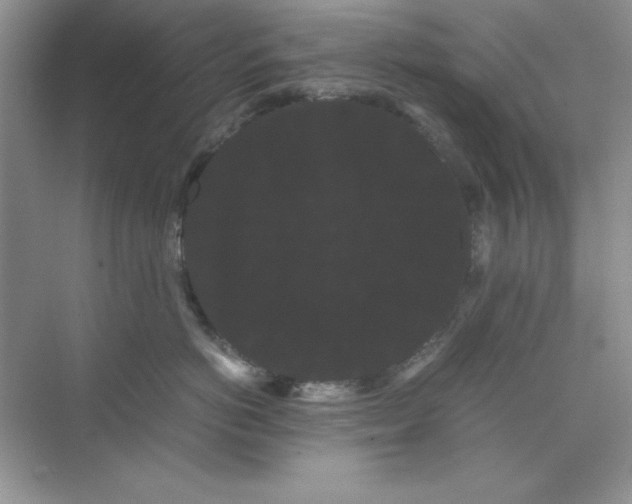 X0000071900766200607212016