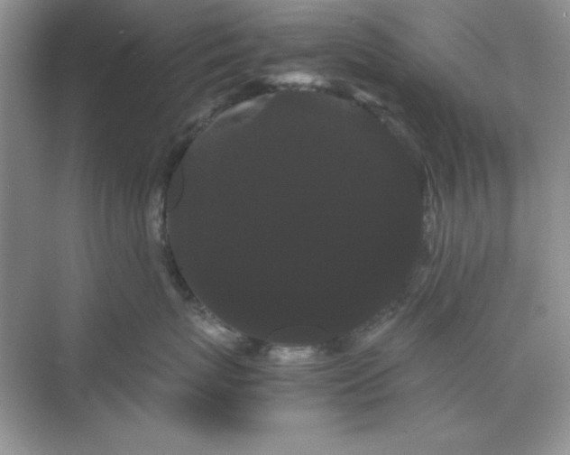 X0000071900767200607212016