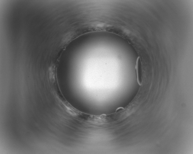 X0000071900768200607212016