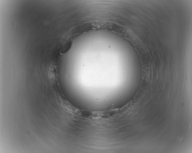 X0000071900770200607212015