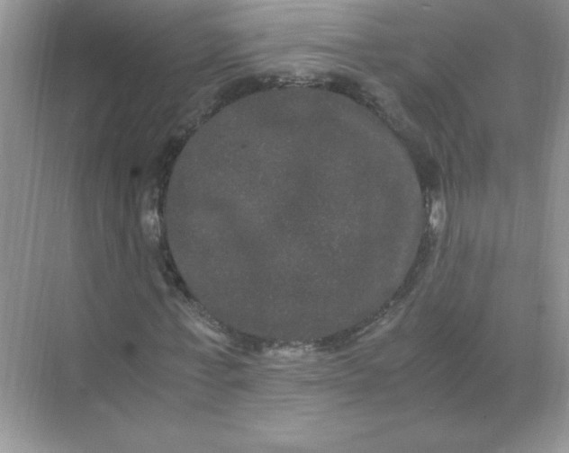 X0000071900771200607212015