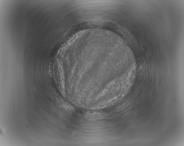 X0000071900772200607212015