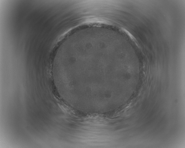 X0000071900775200607212015