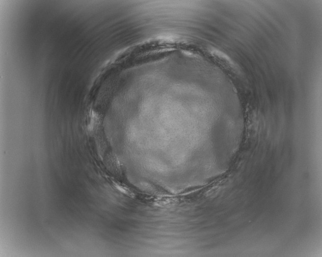 X0000071900776200607212015