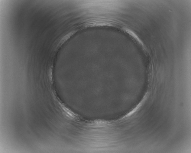 X0000071900777200607212015