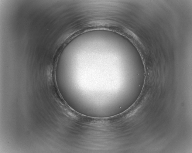 X0000071900778200607212015