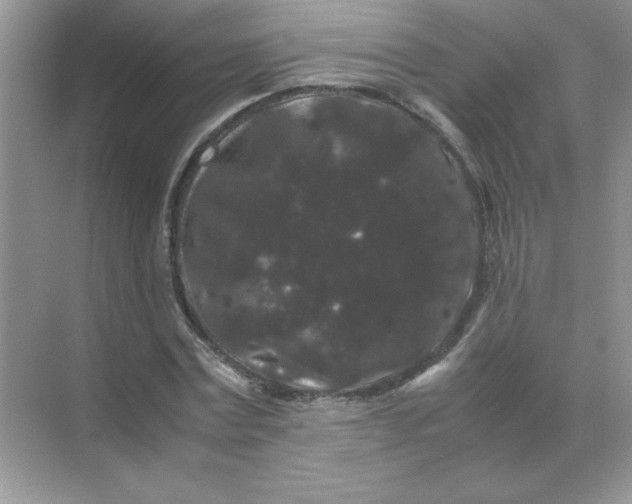 X0000071900779200607212015