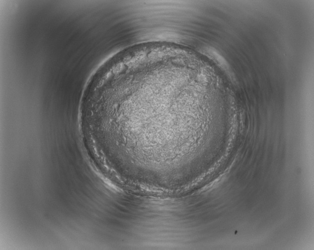 X0000071900780200607212015