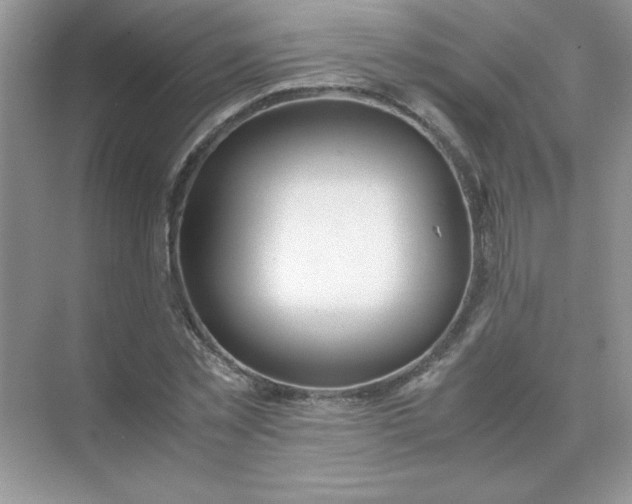 X0000071900781200607212015