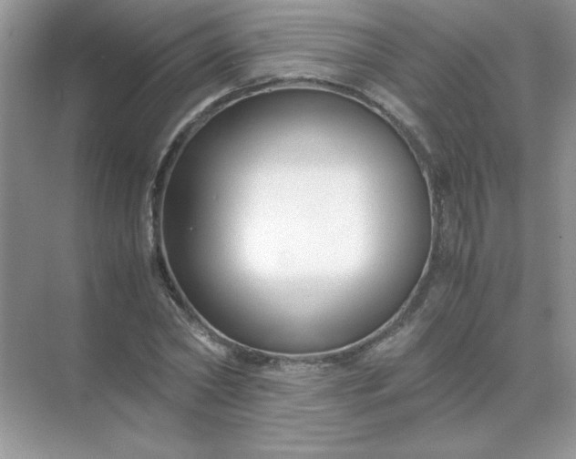 X0000071900782200607212015