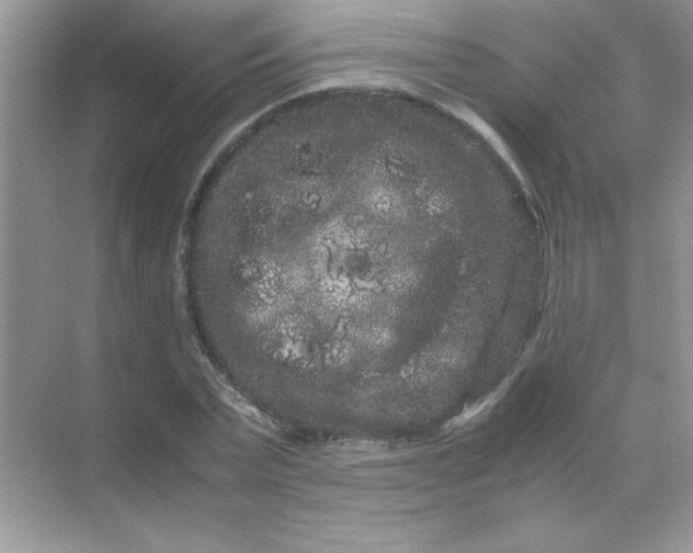 X0000071900783200607212015