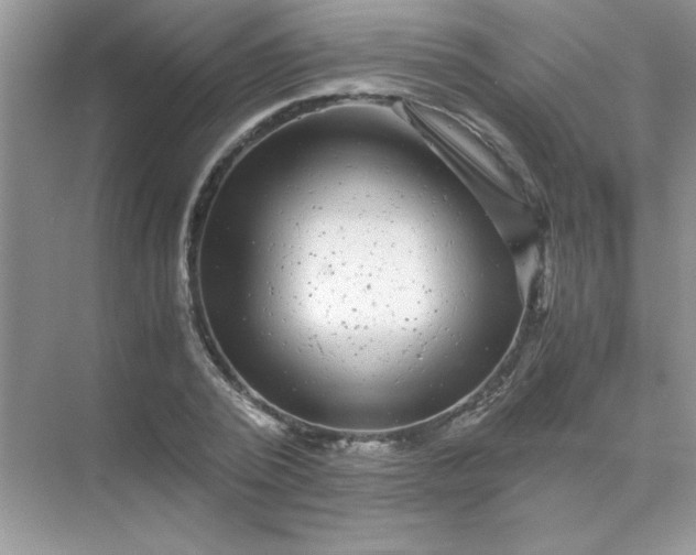 X0000071900784200607212015