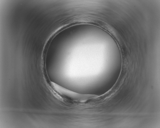 X0000071900787200607212015