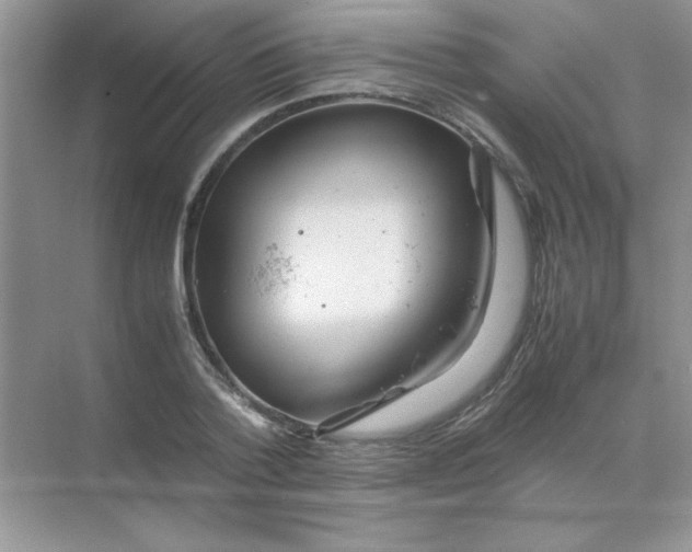 X0000071900788200607212015