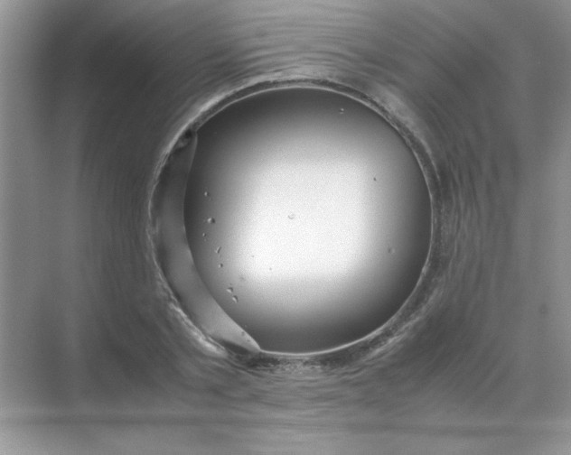 X0000071900789200607212015