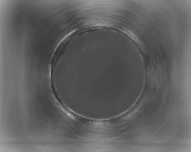 X0000071900790200607212015