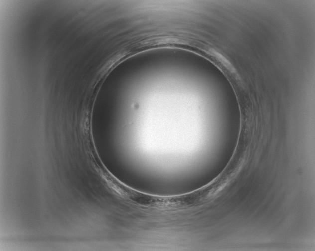 X0000071900793200607212015