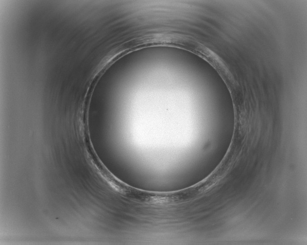 X0000071900794200607212015