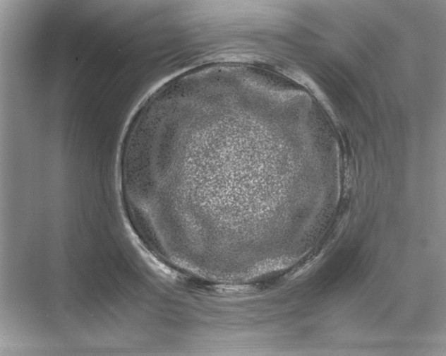 X0000071900795200607212015