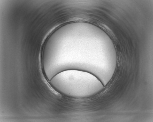 X0000071900796200607212015