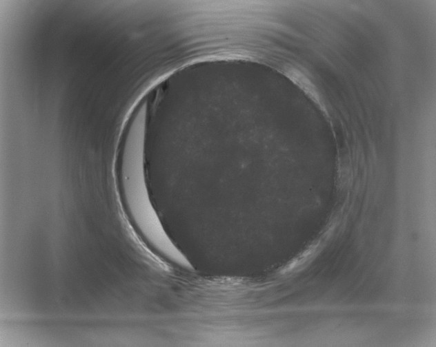 X0000071900797200607212015